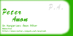 peter amon business card
